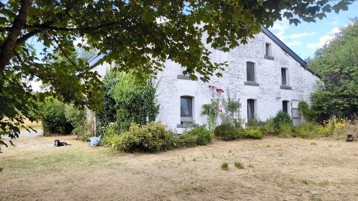 Chantier d'aménagement Racines & Reliefs