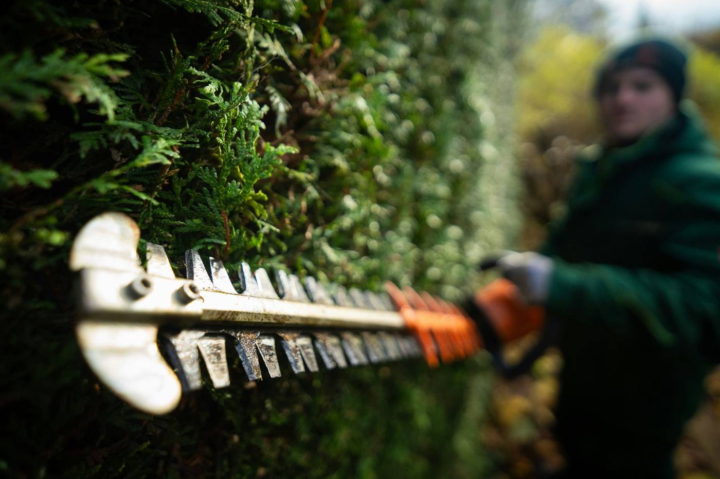 Entretien de jardin par Racines & Reliefs